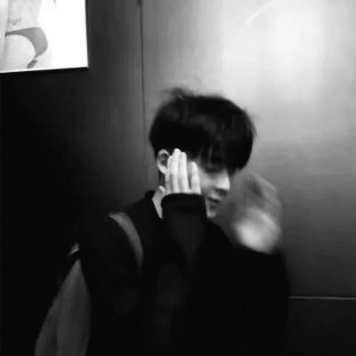 Furry绘画动态灵感福瑞群